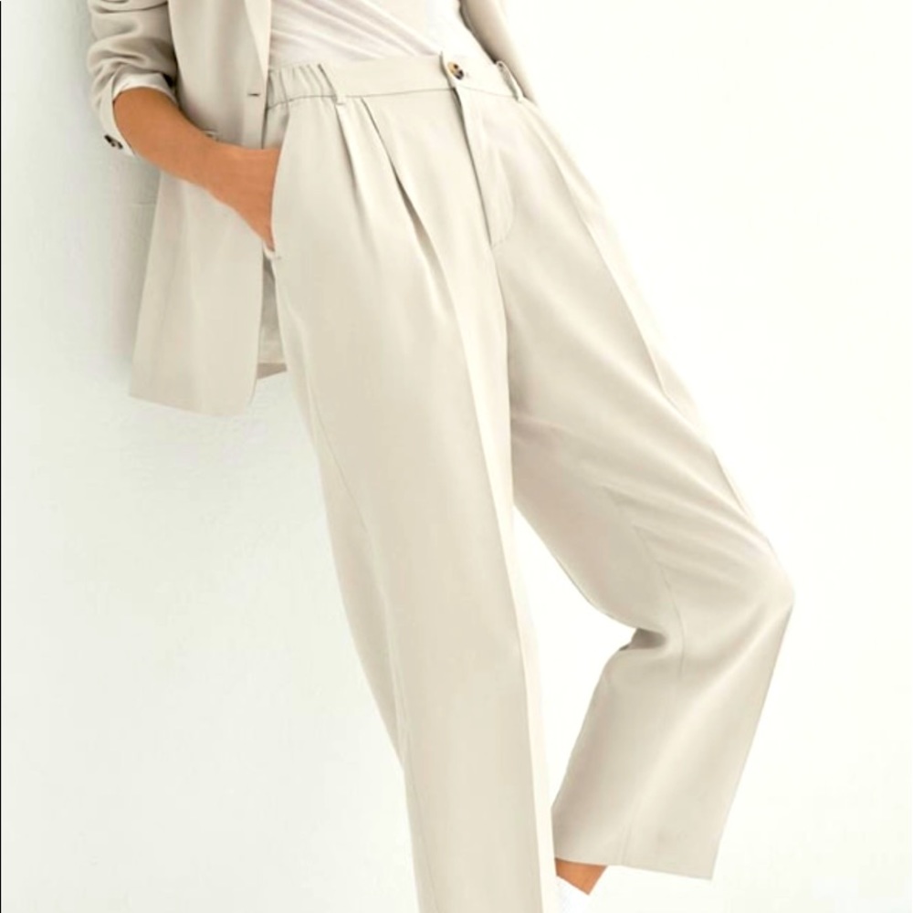 Zara textured ankle pants